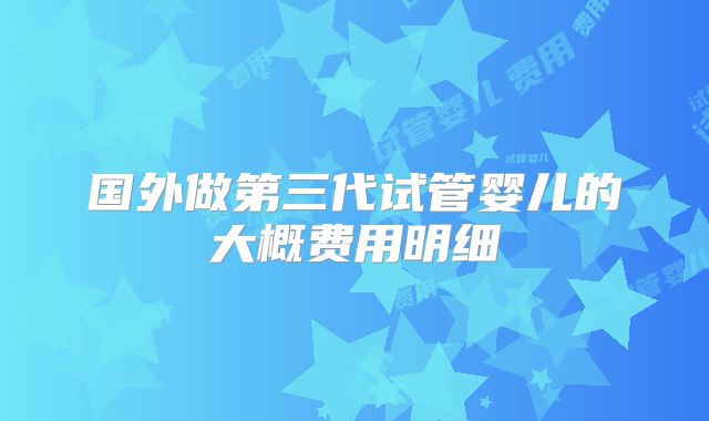 国外做第三代试管婴儿的大概费用明细