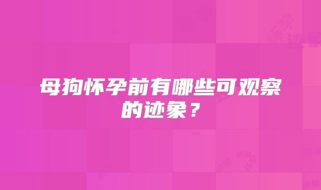 母狗怀孕前有哪些可观察的迹象?