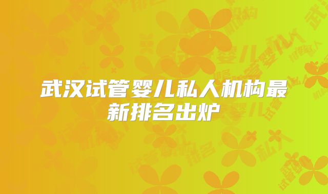 武汉试管婴儿私人机构最新排名出炉