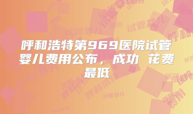 呼和浩特第969医院试管婴儿费用公布,成功 花费最低