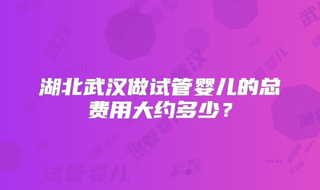 湖北武汉做试管婴儿的总费用大约多少？