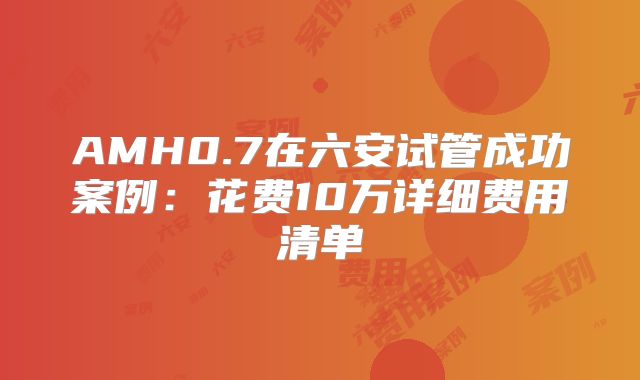 AMH0.7在六安试管成功案例:花费10万详细费用清单