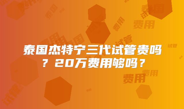 泰国杰特宁三代试管贵吗?20万费用够吗?