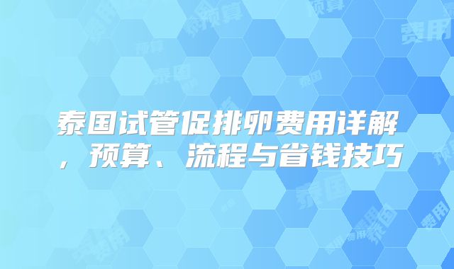 泰国试管促排卵费用详解,预算、流程与省钱技巧