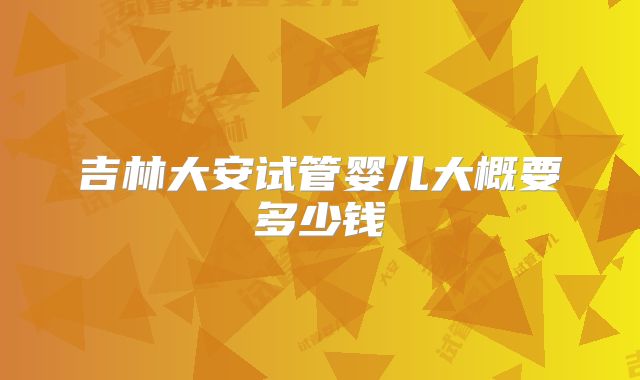 吉林大安试管婴儿大概要多少钱
