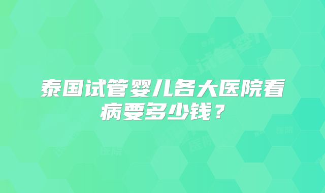 泰国试管婴儿各大医院看病要多少钱?