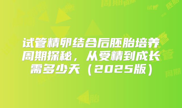 试管精卵结合后胚胎培养周期探秘，从受精到成长需多少天（2025版）