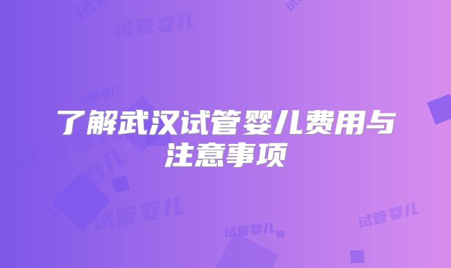 了解武汉试管婴儿费用与注意事项
