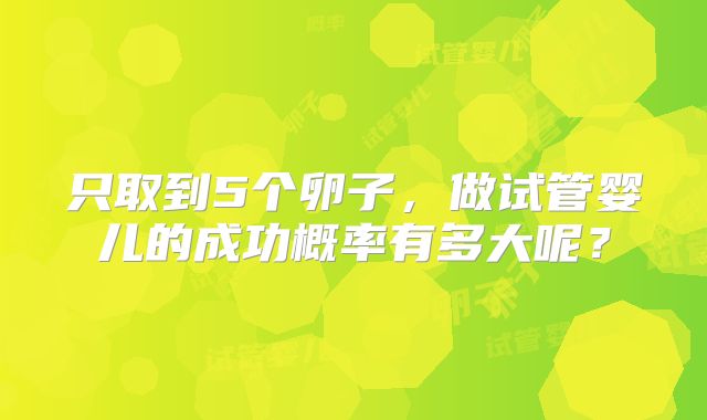 只取到5个卵子,做试管婴儿的成功概率有多大呢?