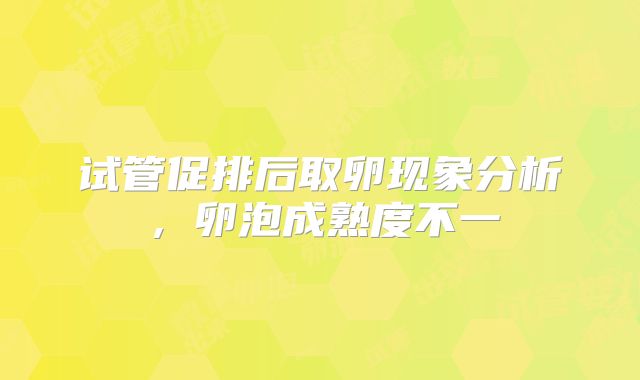 试管促排后取卵现象分析,卵泡成熟度不一
