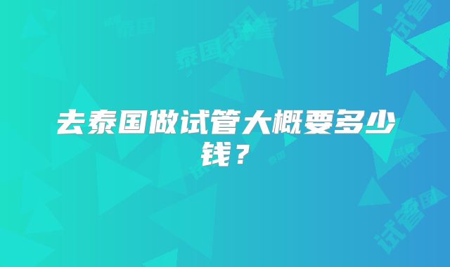 去泰国做试管大概要多少钱？