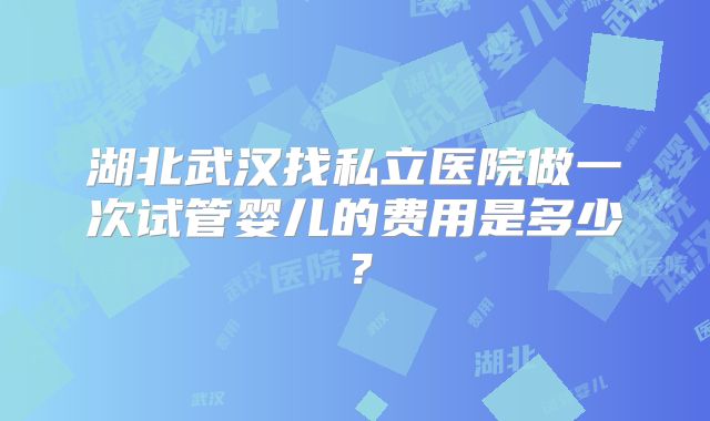 湖北武汉找私立医院做一次试管婴儿的费用是多少?