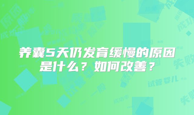 养囊5天仍发育缓慢的原因是什么？如何改善？
