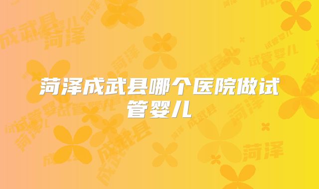 菏泽成武县哪个医院做试管婴儿