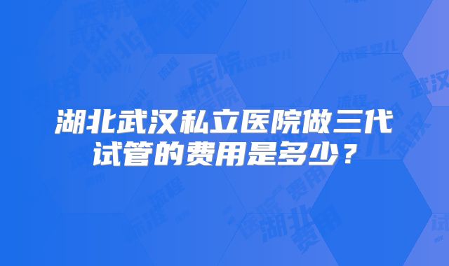 湖北武汉私立医院做三代试管的费用是多少？