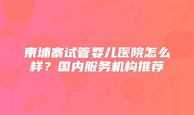 柬埔寨试管婴儿医院怎么样?国内服务机构推荐