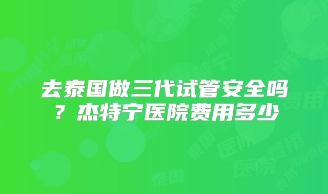 去泰国做三代试管安全吗?杰特宁医院费用多少