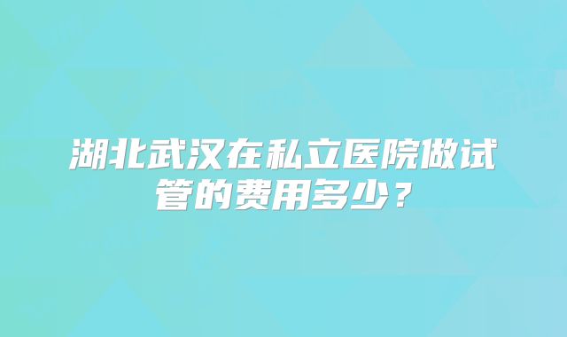 湖北武汉在私立医院做试管的费用多少?