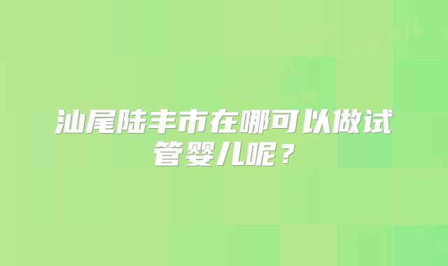汕尾陆丰市在哪可以做试管婴儿呢？