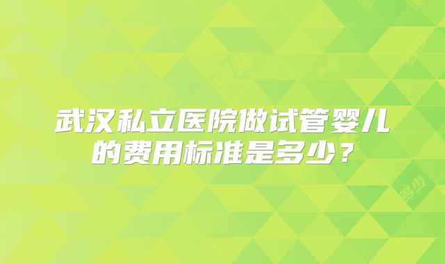 武汉私立医院做试管婴儿的费用标准是多少?