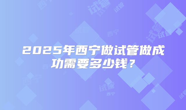 2025年西宁做试管做成功需要多少钱?