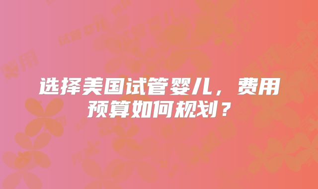 选择美国试管婴儿,费用预算如何规划?