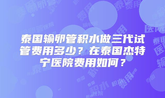 泰国输卵管积水做三代试管费用多少？在泰国杰特宁医院费用如何？