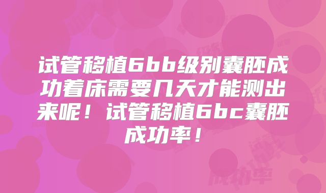 试管移植6bb级别囊胚成功着床需要几天才能测出来呢!试管移植6bc囊胚成功率!