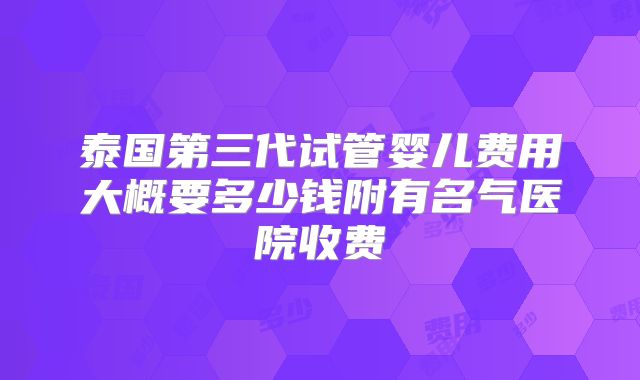 泰国第三代试管婴儿费用大概要多少钱附有名气医院收费