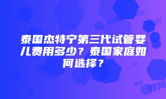 泰国杰特宁第三代试管婴儿费用多少？泰国家庭如何选择？