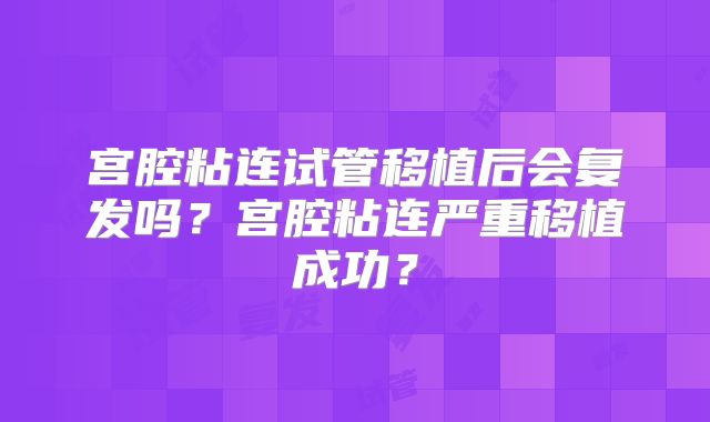 宫腔粘连试管移植后会复发吗?宫腔粘连严重移植成功?