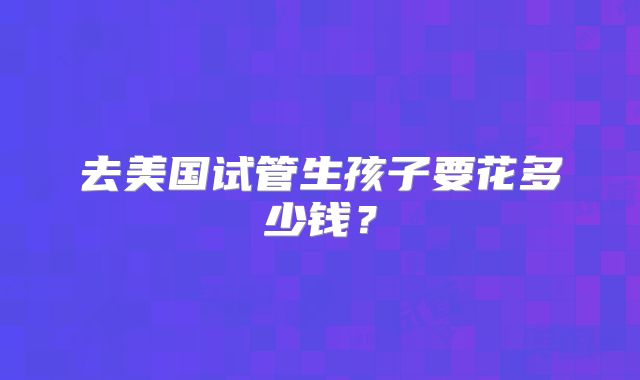 去美国试管生孩子要花多少钱？