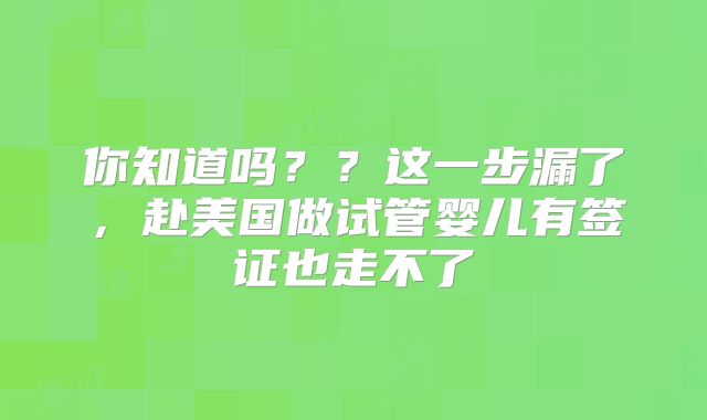 你知道吗??这一步漏了,赴美国做试管婴儿有签证也走不了