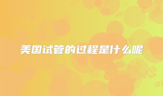 美国试管的过程是什么呢