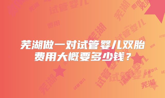 芜湖做一对试管婴儿双胎费用大概要多少钱?