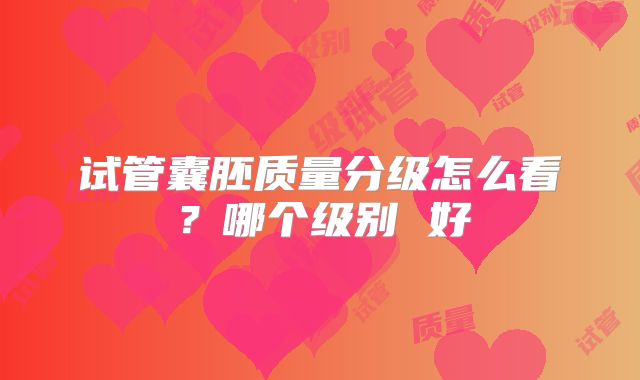 试管囊胚质量分级怎么看?哪个级别 好