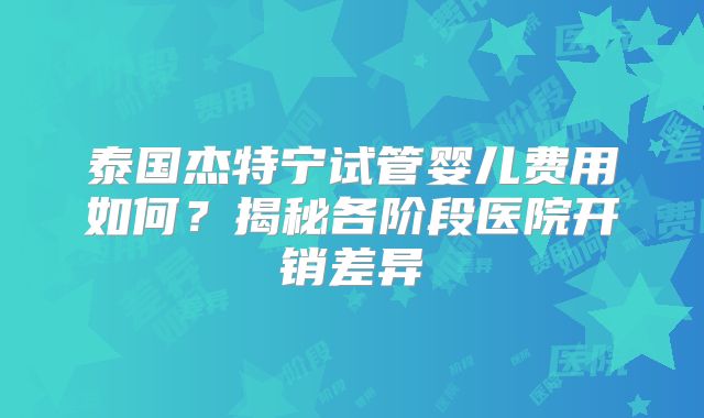 泰国杰特宁试管婴儿费用如何？揭秘各阶段医院开销差异