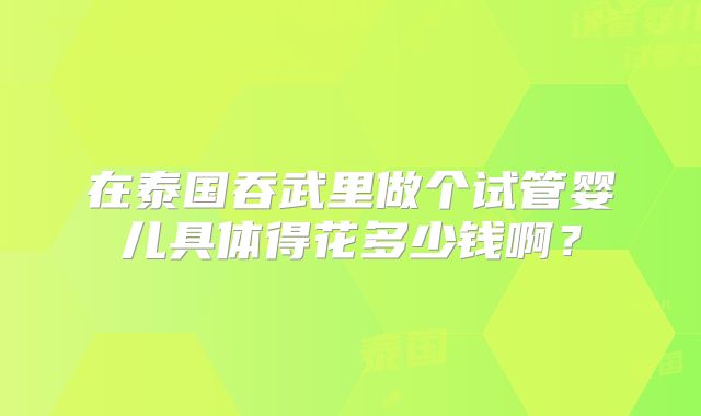 在泰国吞武里做个试管婴儿具体得花多少钱啊?