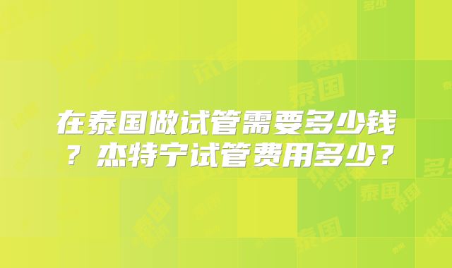 在泰国做试管需要多少钱?杰特宁试管费用多少?