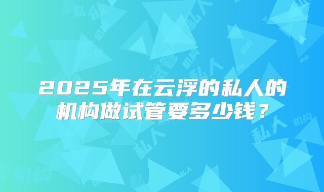 2025年在云浮的私人的机构做试管要多少钱？
