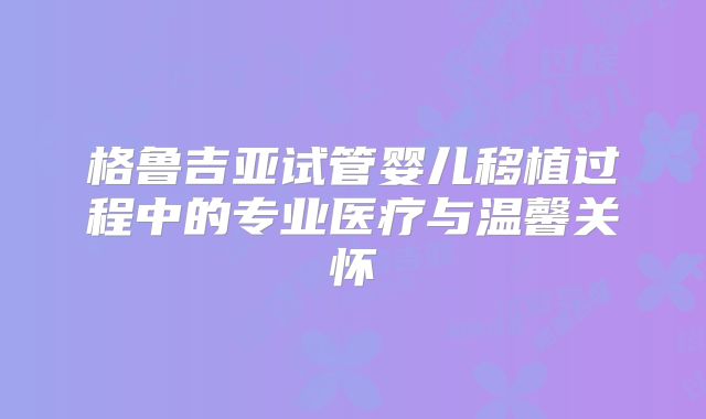 格鲁吉亚试管婴儿移植过程中的专业医疗与温馨关怀