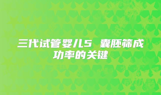 三代试管婴儿5 囊胚筛成功率的关键