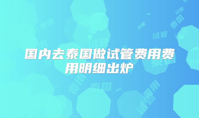 国内去泰国做试管费用费用明细出炉