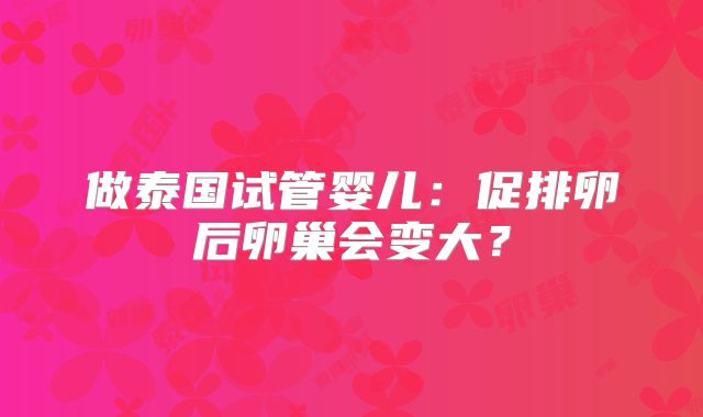 做泰国试管婴儿:促排卵后卵巢会变大?