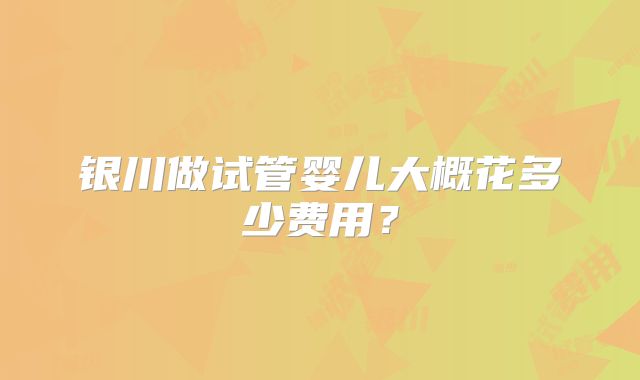 银川做试管婴儿大概花多少费用?
