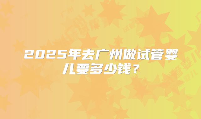 2025年去广州做试管婴儿要多少钱？