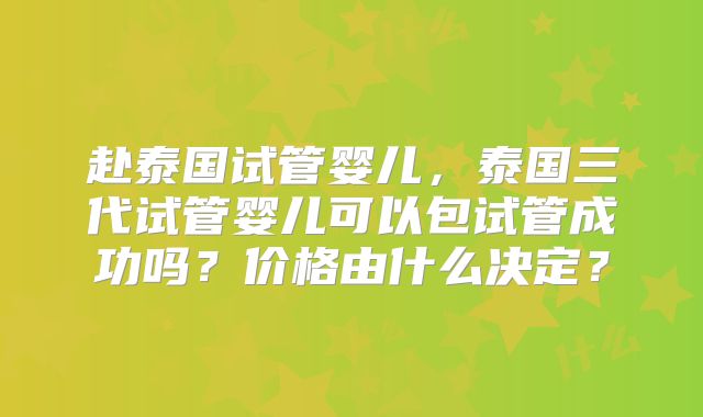 赴泰国试管婴儿，泰国三代试管婴儿可以包试管成功吗？价格由什么决定？