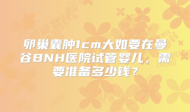 卵巢囊肿1cm大如要在曼谷BNH医院试管婴儿,需要准备多少钱?