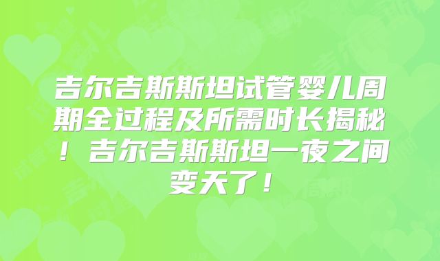 吉尔吉斯斯坦试管婴儿周期全过程及所需时长揭秘!吉尔吉斯斯坦一夜之间变天了!