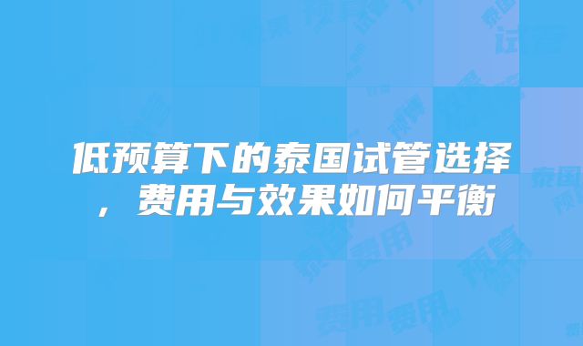 低预算下的泰国试管选择,费用与效果如何平衡